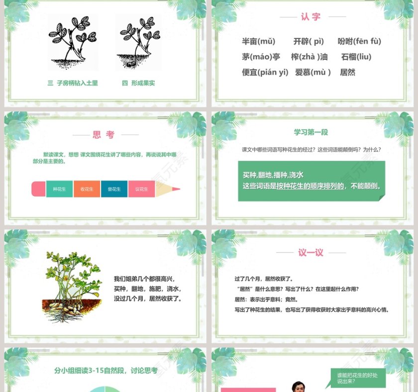 人教版五年级语文课件落花生PPT模板第2张