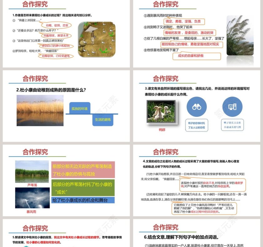 课文解析孤独之旅语文课件PPT第2张