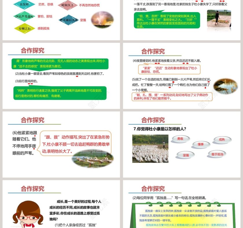 课文解析孤独之旅语文课件PPT第3张