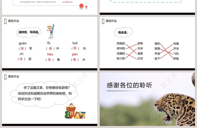 课文解析五年级语文上册什么比猎豹的速度更快语文课件PPT第4张