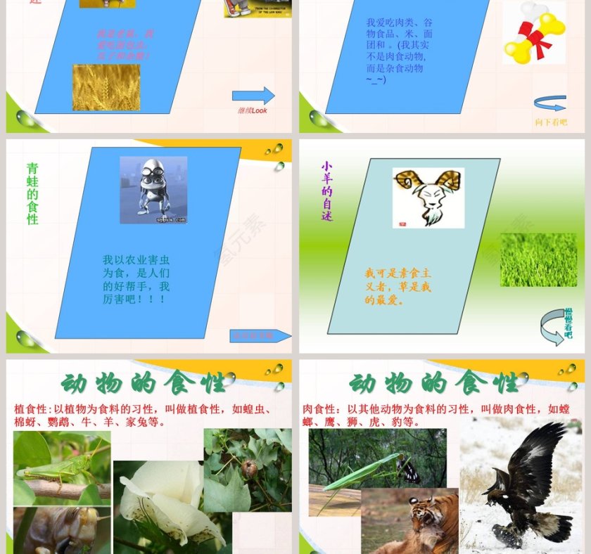 动物的特征-多种多样的动物教学ppt课件第7张