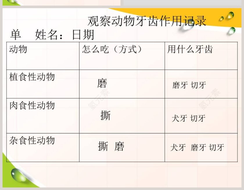 动物的特征-多种多样的动物教学ppt课件第10张