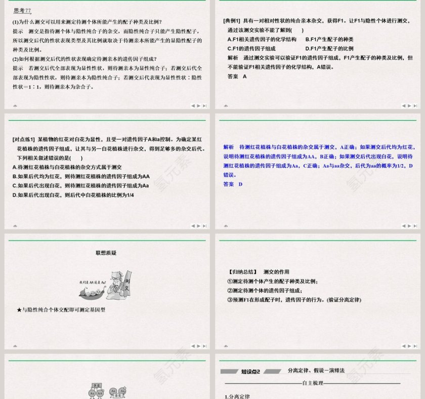 一衣带水的邻邦政务党建PPT模板第2张