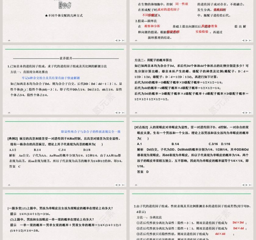 一衣带水的邻邦政务党建PPT模板第3张