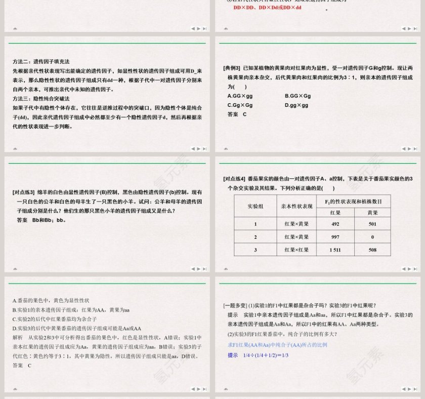 一衣带水的邻邦政务党建PPT模板第4张