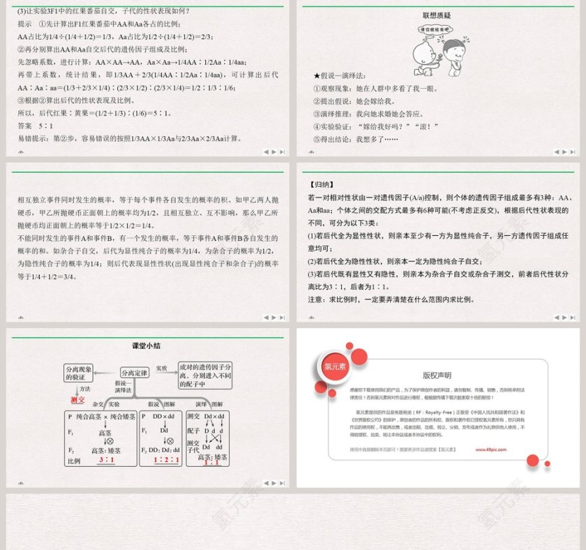 一衣带水的邻邦政务党建PPT模板第5张