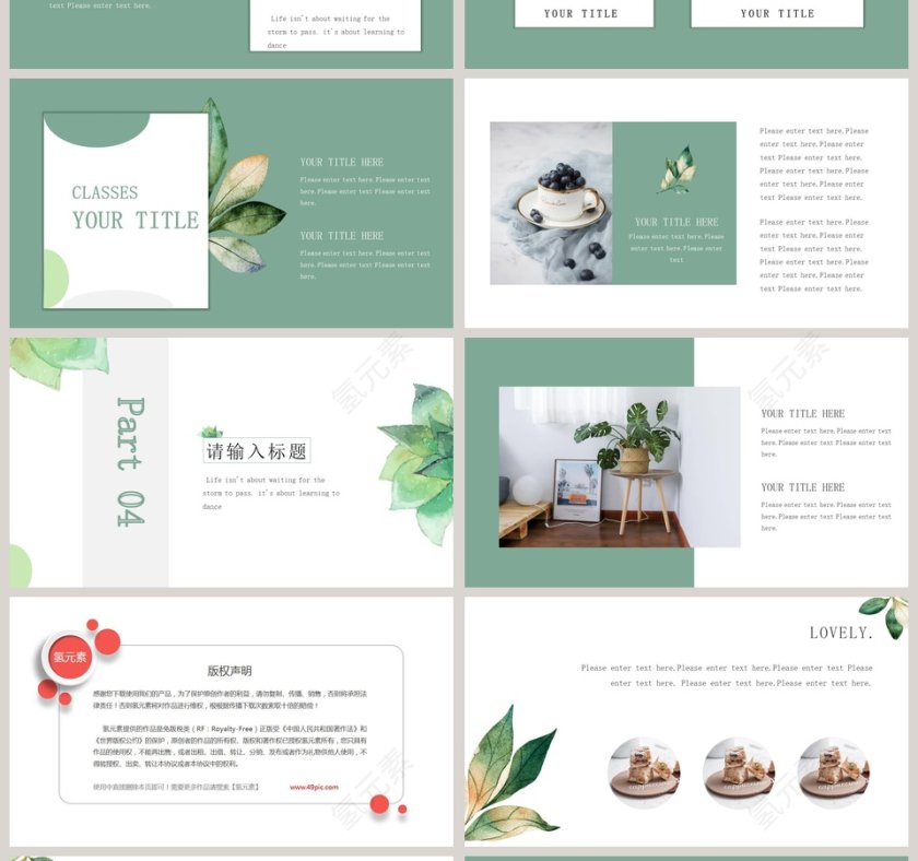 小清新植物教育培训PPT模板第4张