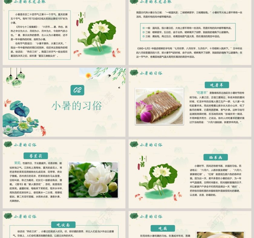 简约清新二十四节气小暑ppt模板第2张