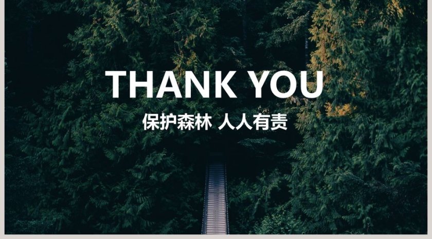 绿色森林林木管理模板PPT第5张