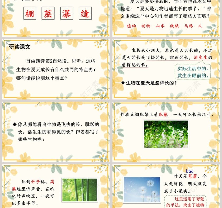 课文解析夏天里的成长语文课件PPT第3张