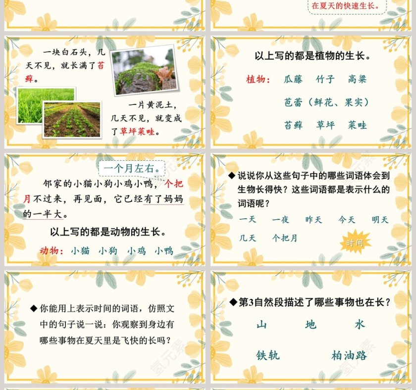 课文解析夏天里的成长语文课件PPT第4张