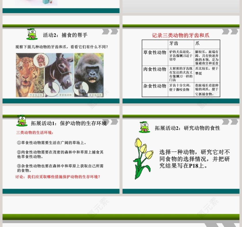 动物的食物教学ppt课件第4张