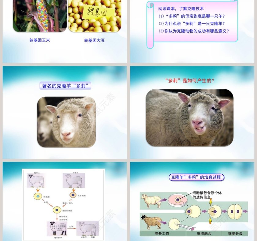 第-2教学ppt课件第3张