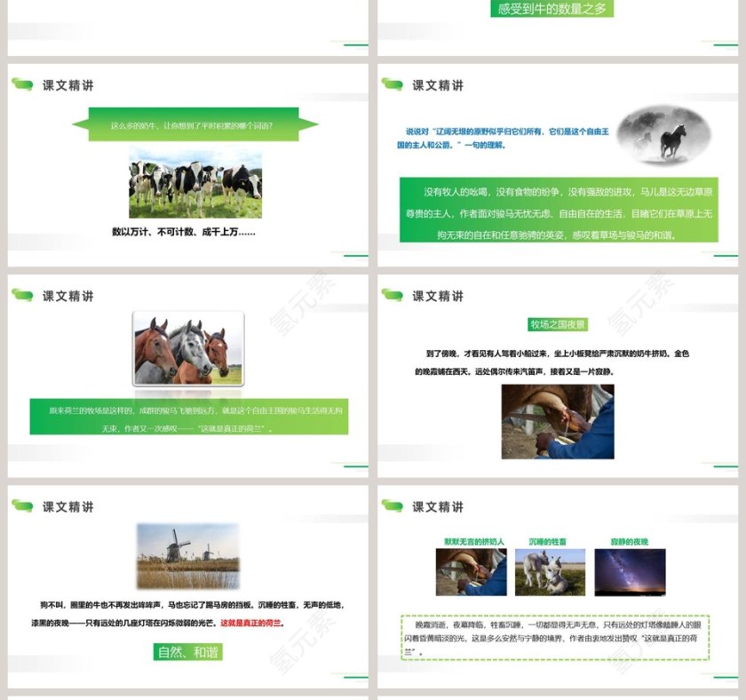 五年级语文下册牧场之国PPT课件第4张