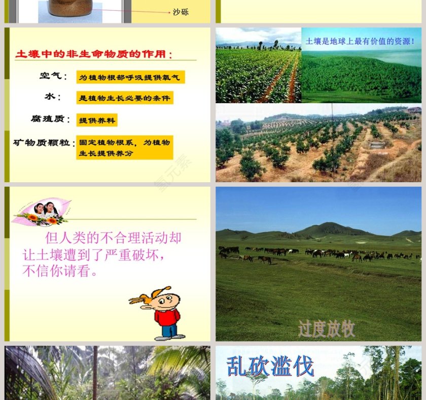 认识土壤教学ppt课件第4张