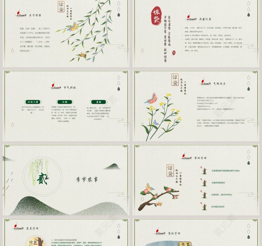 中国风小清新惊蛰节气介绍ppt模板第2张