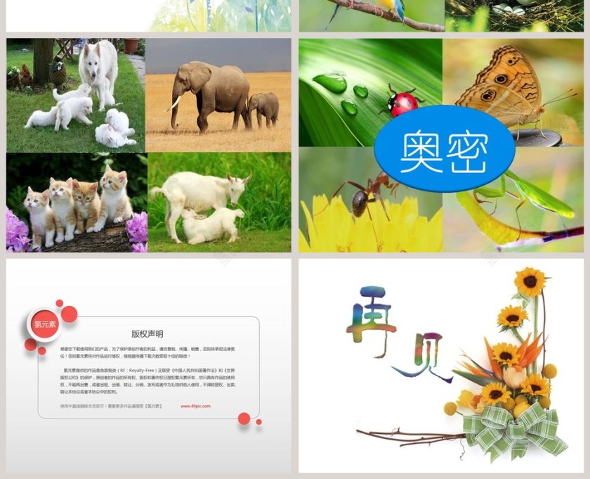 利用PPT模板进行分工合作找证据第4张