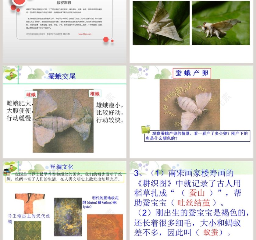 蚕宝宝大变样-第X期industry述职汇报PPT模板第3张