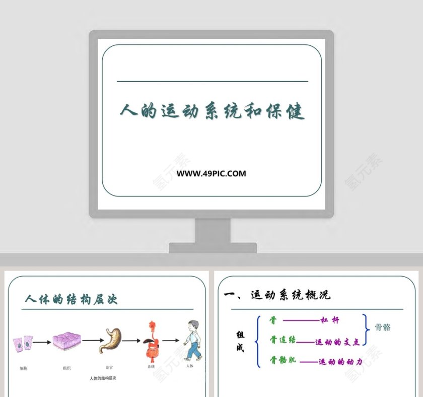 人的运动系统和保健教学ppt课件第1张