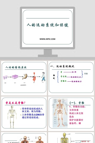 人的运动系统和保健教学ppt课件