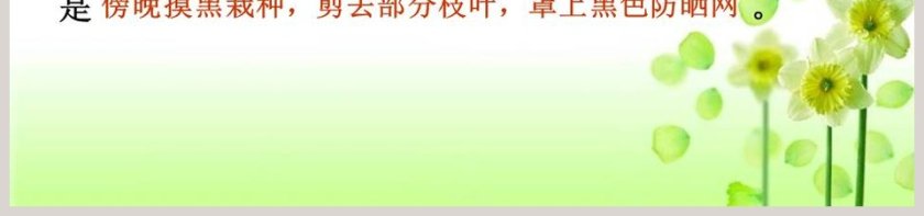 第四章  第-5教学ppt课件第7张