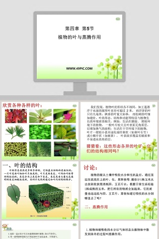 第四章  第-5教学ppt课件