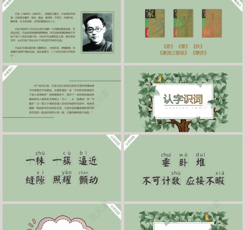 部编版五年级语文鸟的天堂语文课件PPT第2张