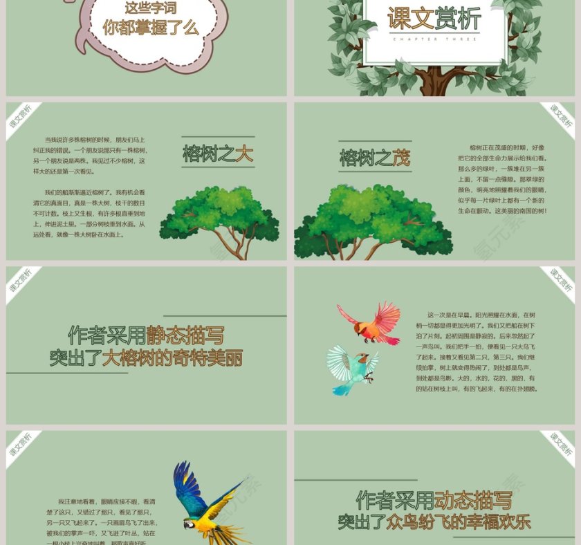 部编版五年级语文鸟的天堂语文课件PPT第3张