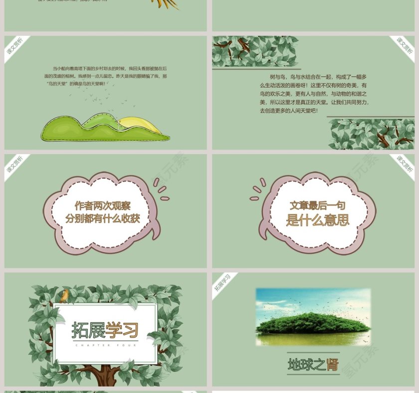 部编版五年级语文鸟的天堂语文课件PPT第4张