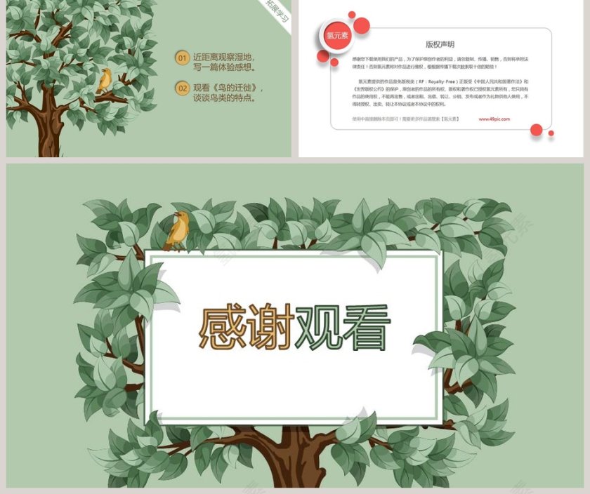 部编版五年级语文鸟的天堂语文课件PPT第5张