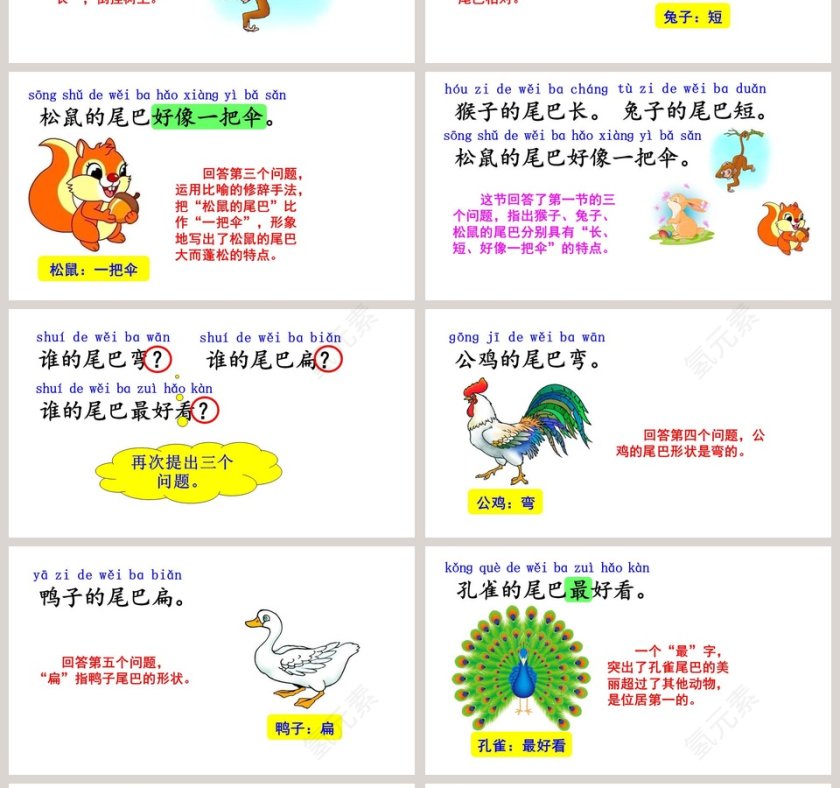 一年级语文上册比尾巴教学课件PPT模板第4张