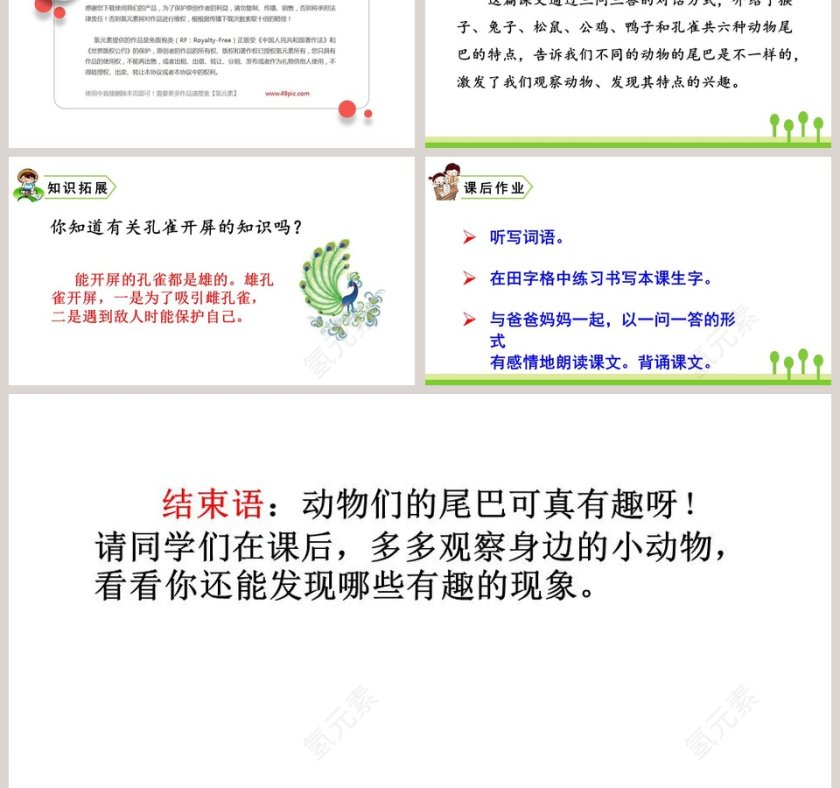 一年级语文上册比尾巴教学课件PPT模板第6张