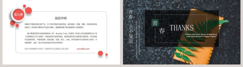 青春纪念手册PPT第5张