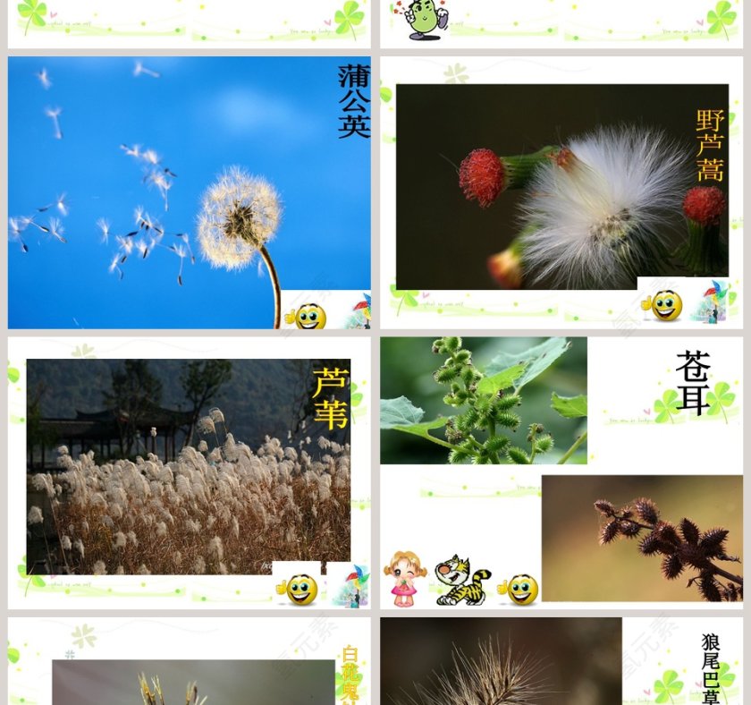 幼儿园大班幼儿园大班课件：种子的旅行第2张