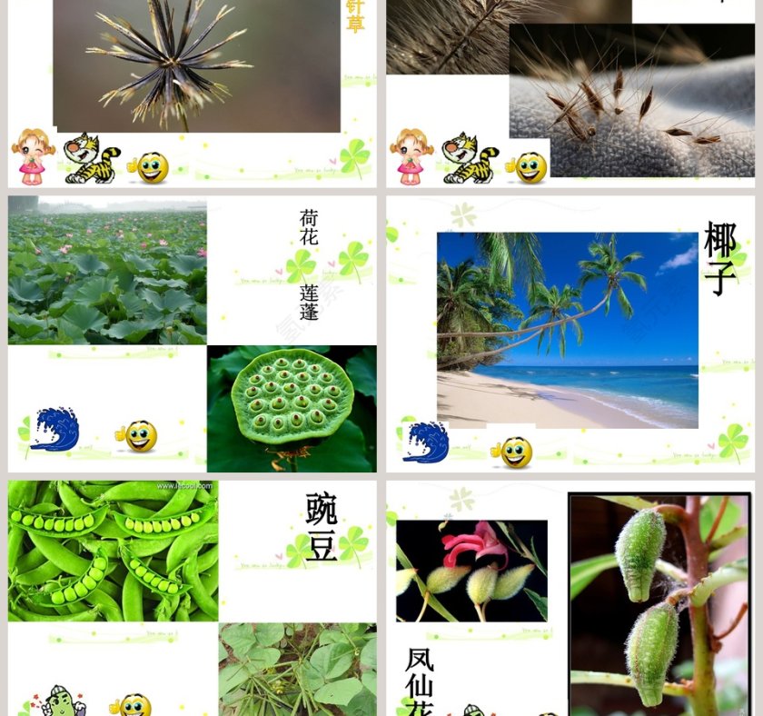 幼儿园大班幼儿园大班课件：种子的旅行第3张