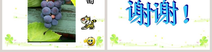 幼儿园大班幼儿园大班课件：种子的旅行第5张