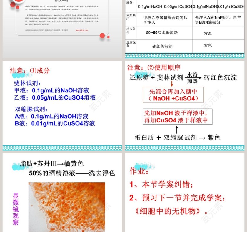 -细胞中的元素和化合物教学ppt课件第5张