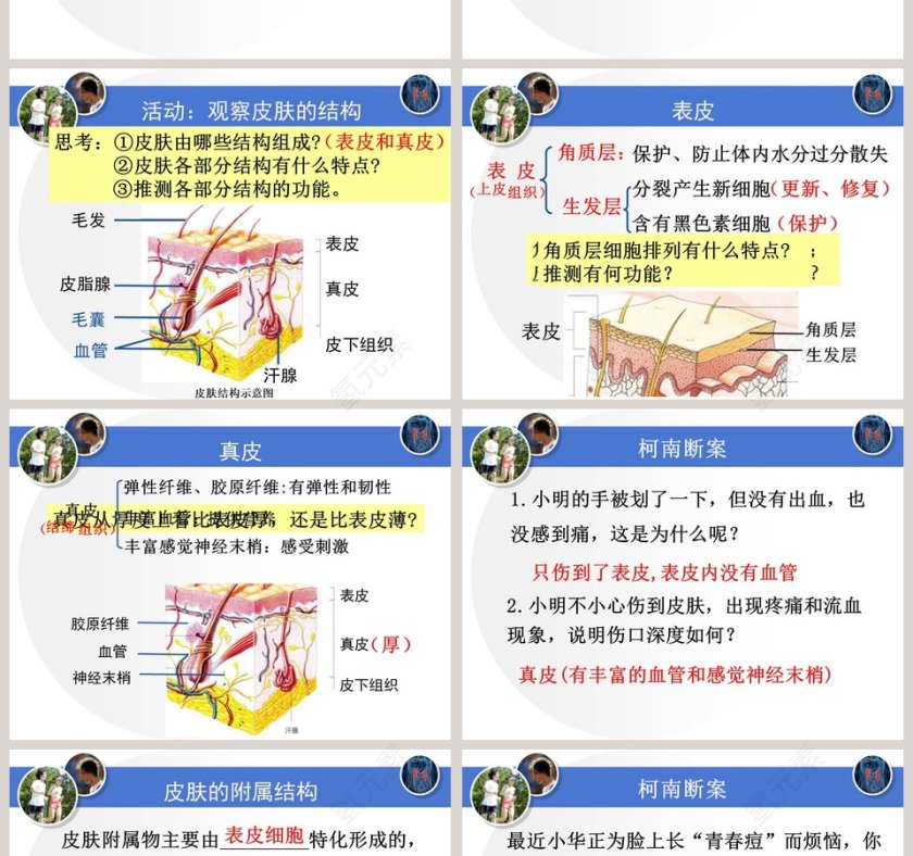 第3节论文答辩PPT模板使用指南第2张