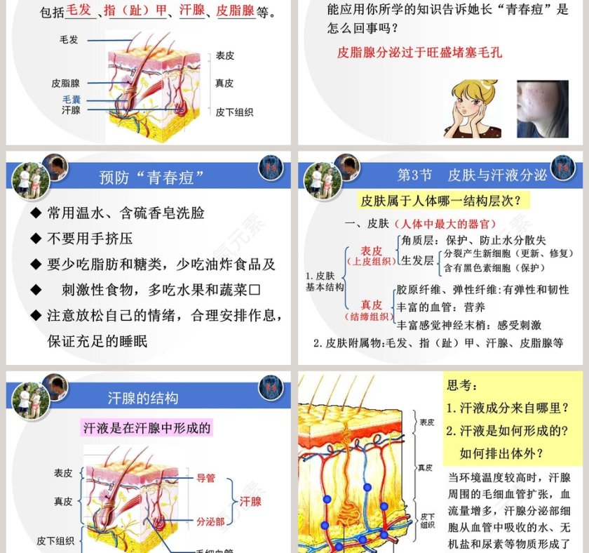 第3节论文答辩PPT模板使用指南第3张