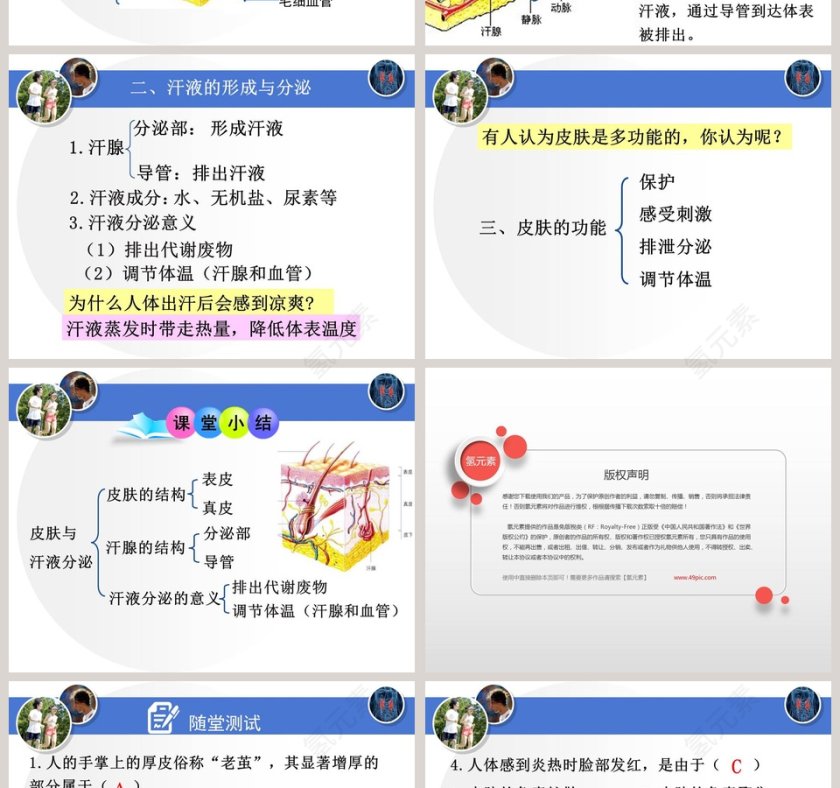 第3节论文答辩PPT模板使用指南第4张