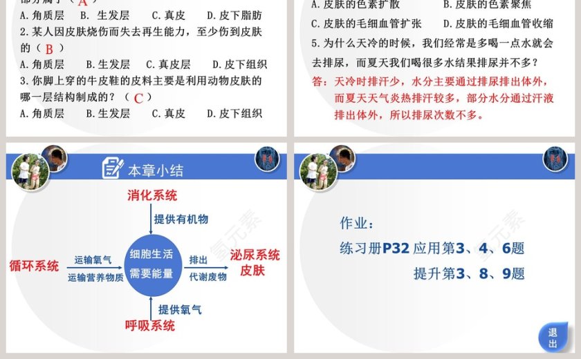 第3节论文答辩PPT模板使用指南第5张