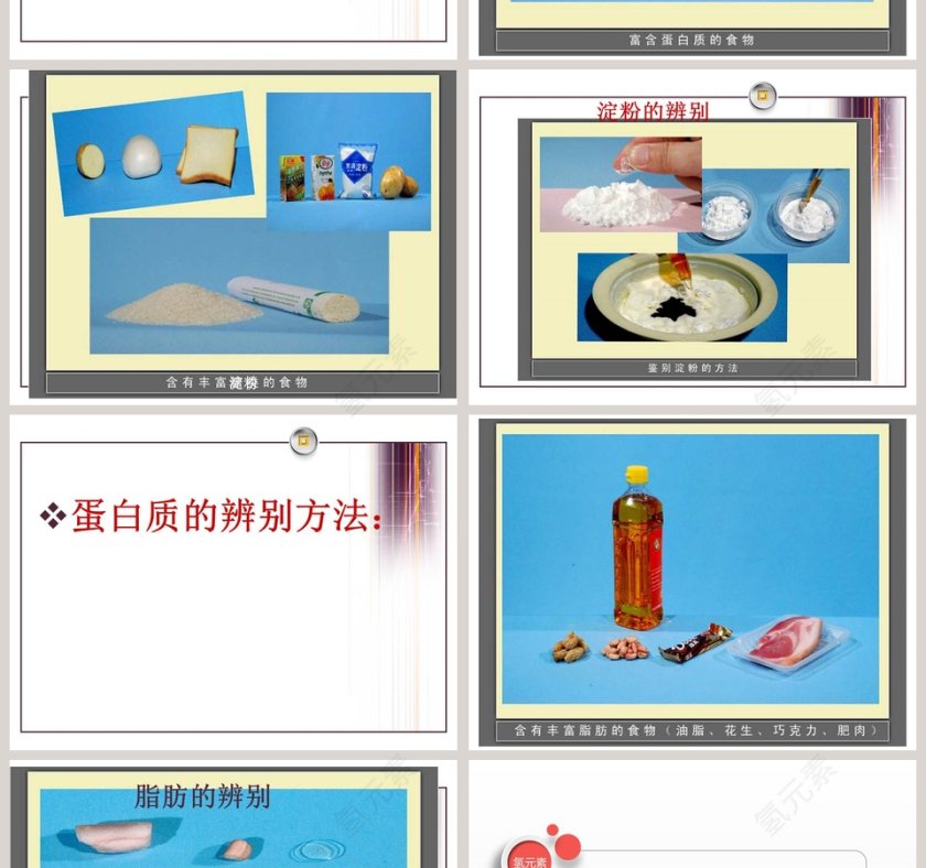 食物的营养教学ppt课件第2张