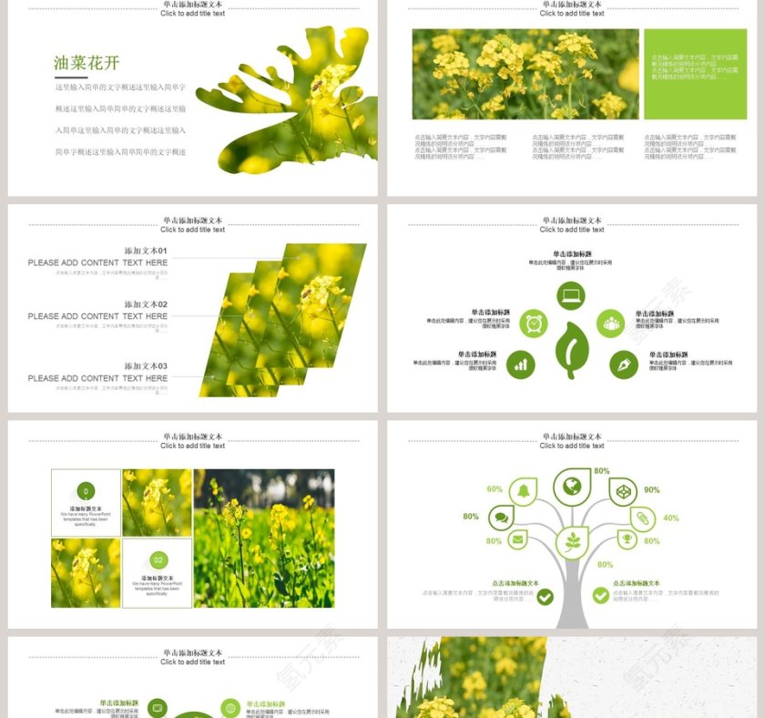 油菜花开总结汇报PPT模板第2张