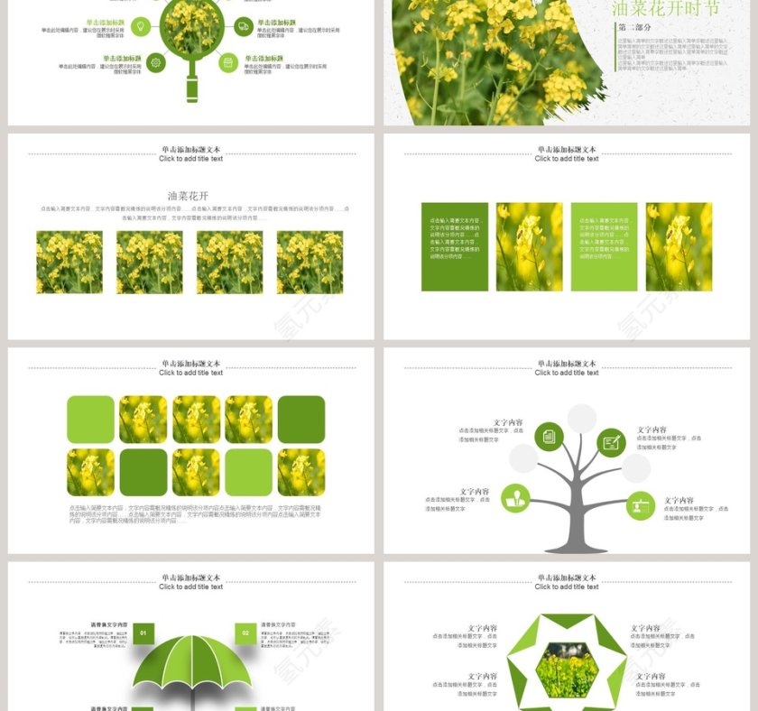 油菜花开总结汇报PPT模板第3张