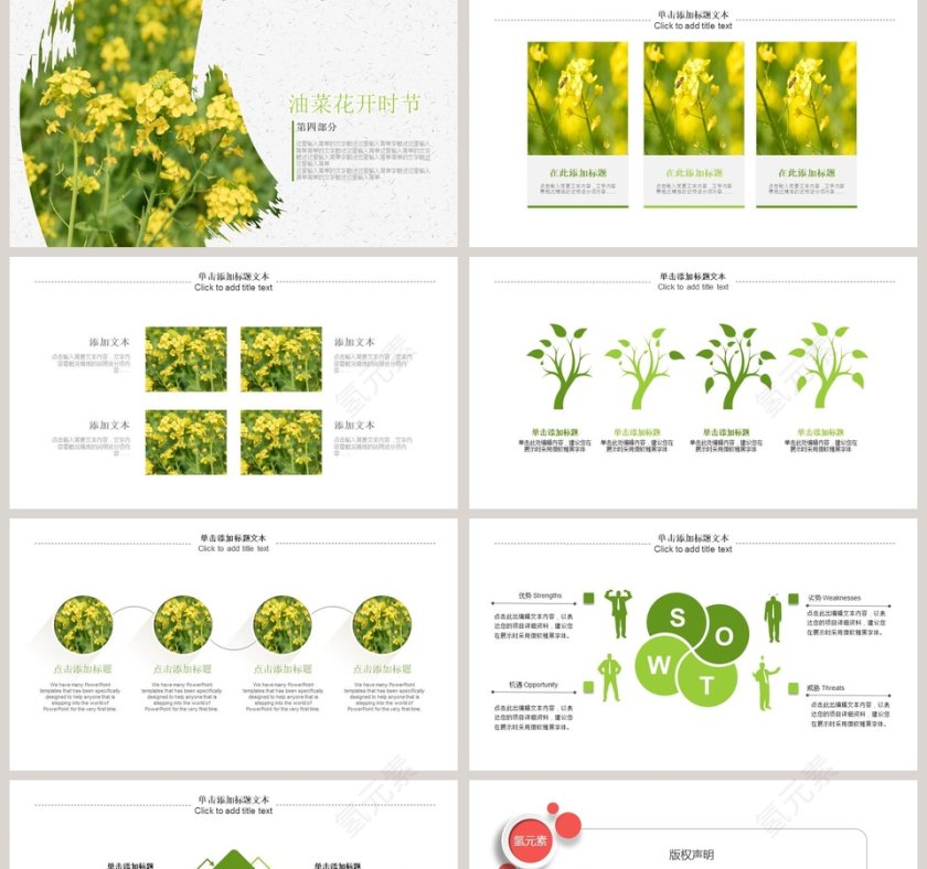 油菜花开总结汇报PPT模板第5张