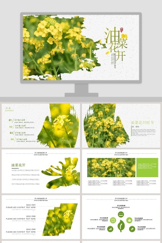 油菜花开总结汇报PPT模板