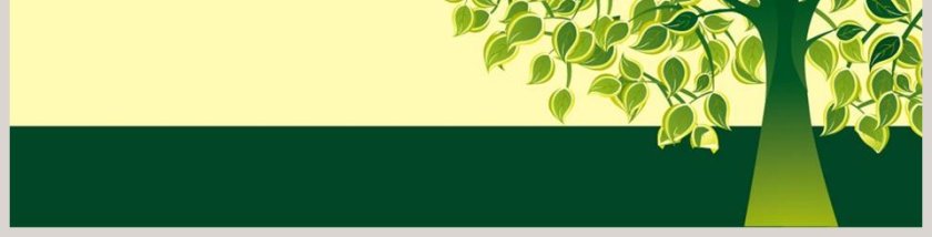 智慧树背景卡通儿童教育培训PPT 第3张