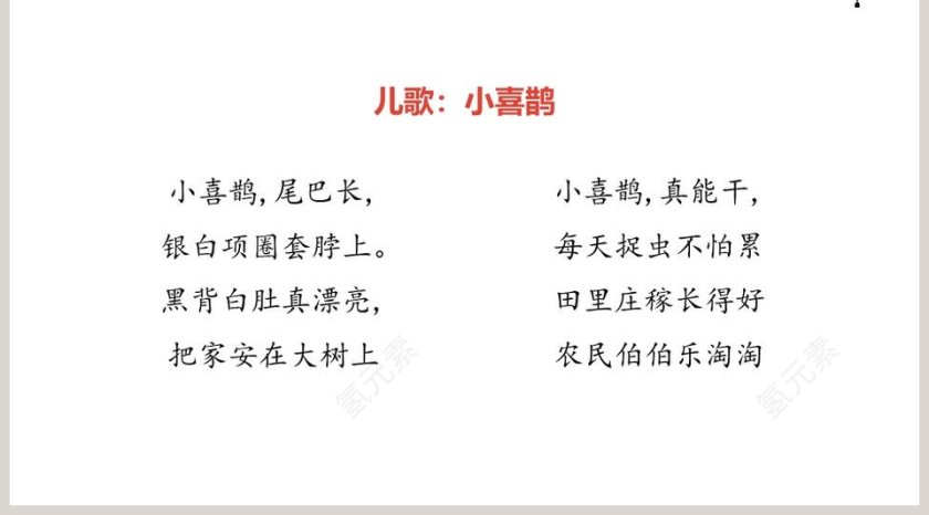 枫树上的喜鹊语文教学PPT课件第5张