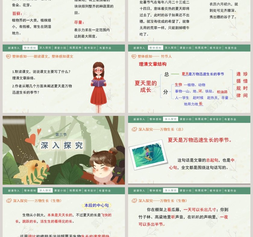 人教部编版六年级语文上册夏天里的成长语文课件PPT第3张