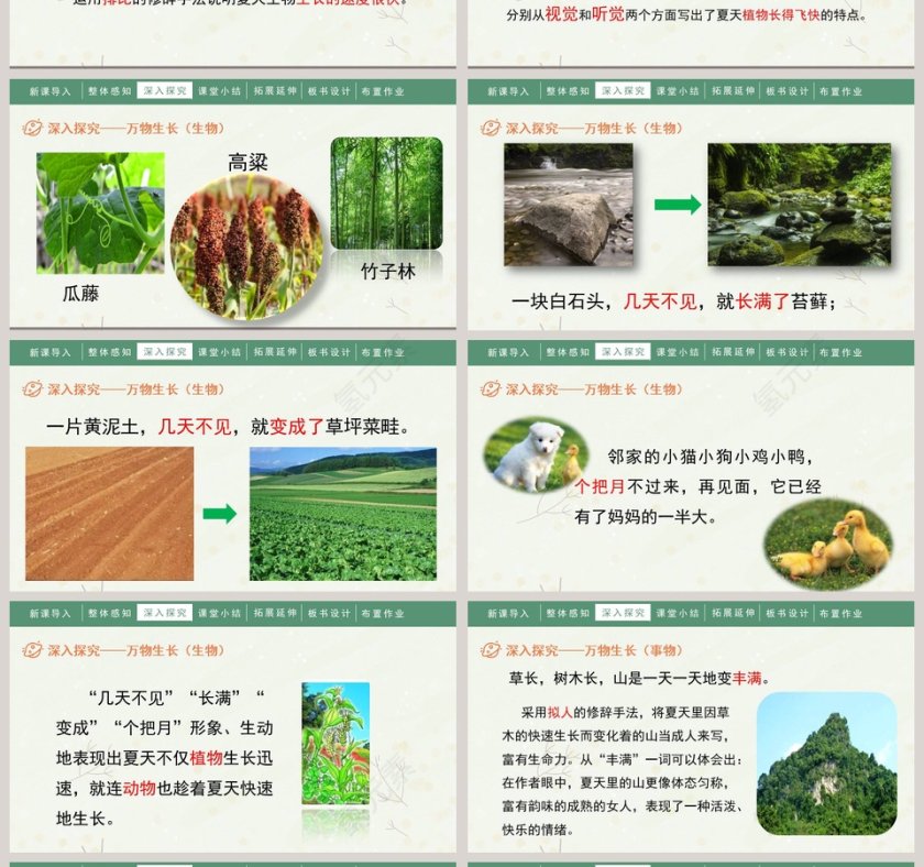 人教部编版六年级语文上册夏天里的成长语文课件PPT第4张